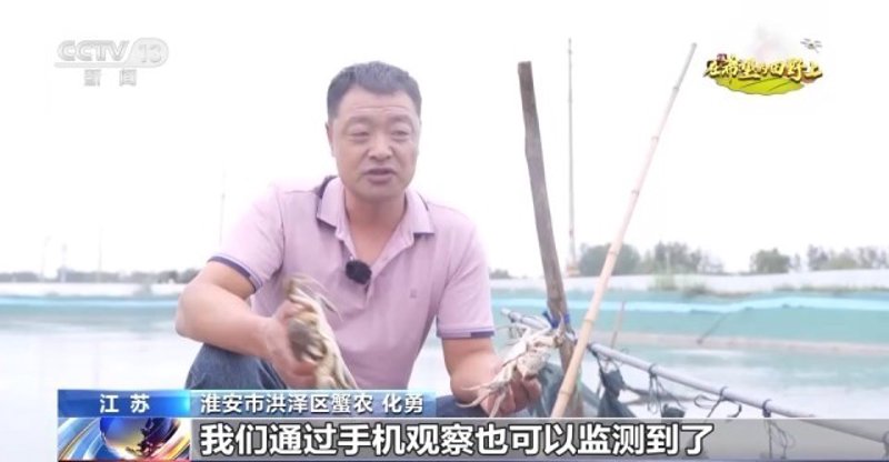 如何选购优质的鱼苗供应