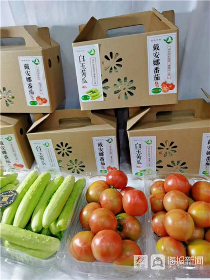 淡水鱼养殖行业动态：刘育芳水产引领创新潮流